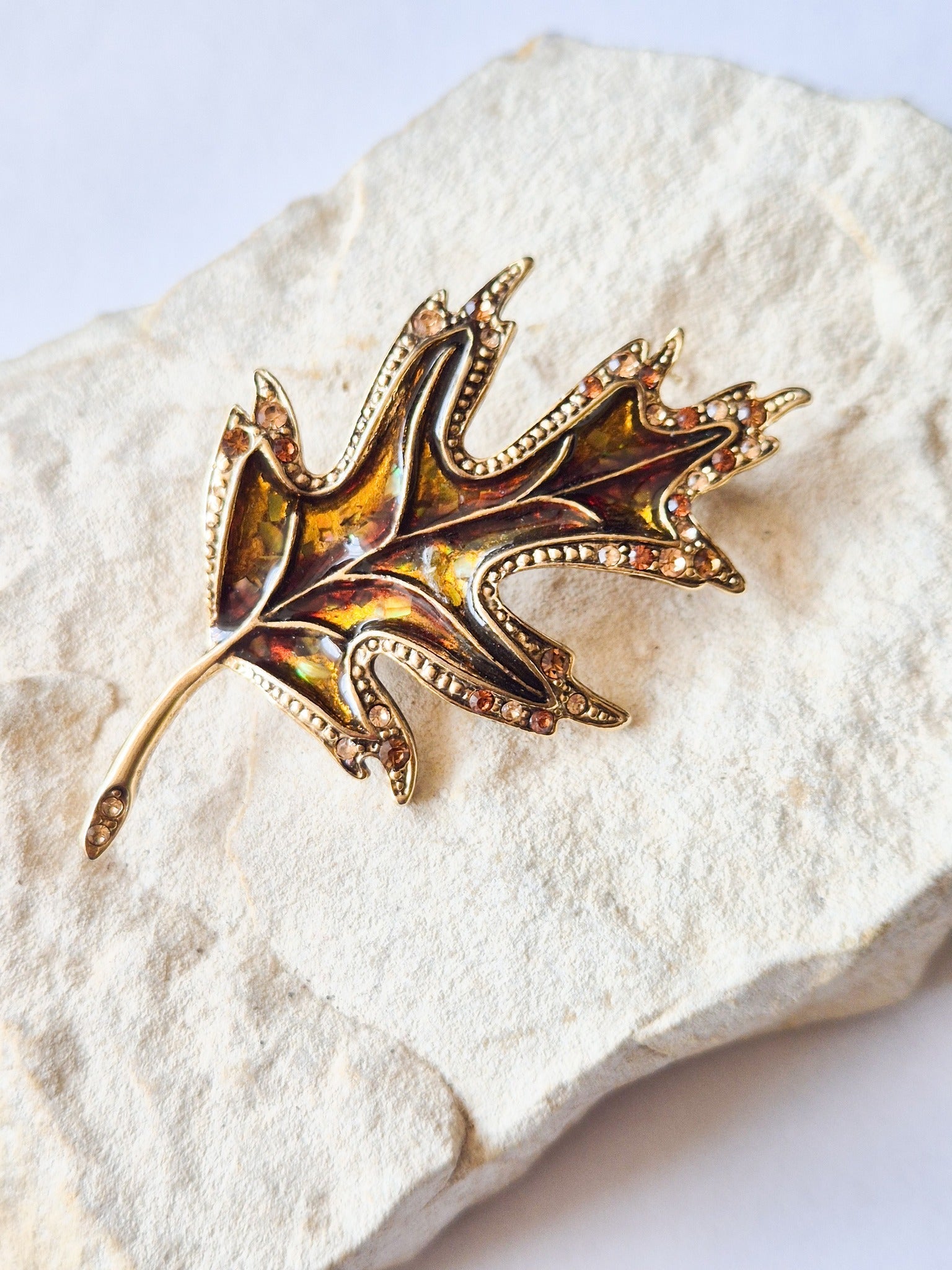 Liz Claiborne  sagė