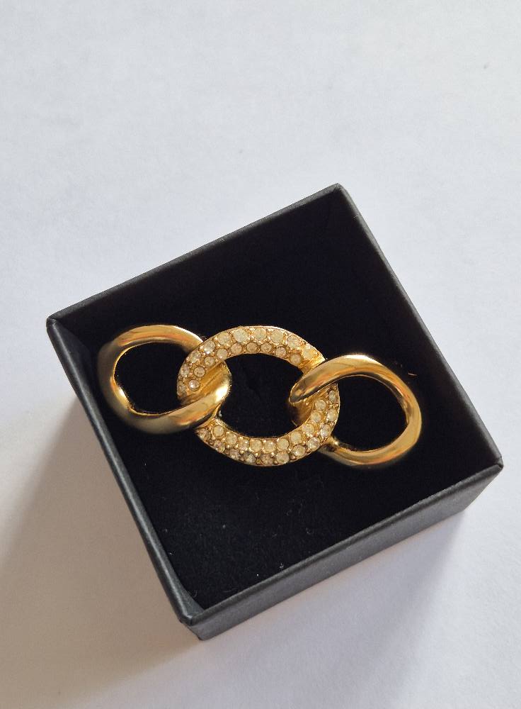 Vintažinė DIOR sagė